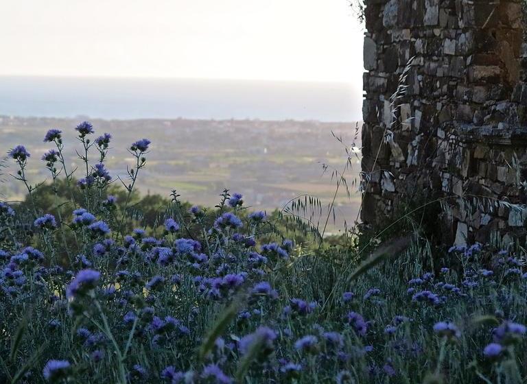 リゾートホテル Il Cannito