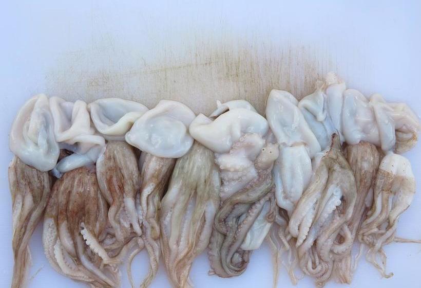 リゾートホテル Il Cannito