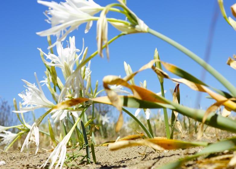 リゾートホテル Il Cannito