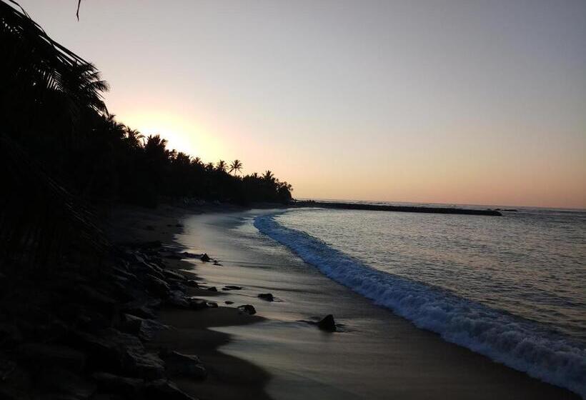 הוסטל Dolphin Cottage Mirissa