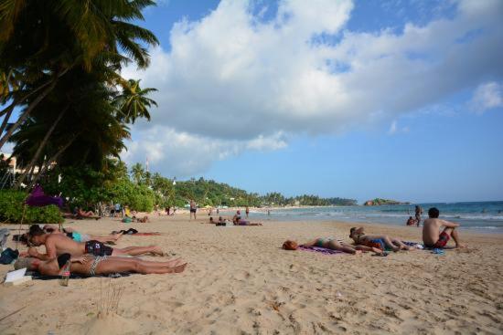 הוסטל Dolphin Cottage Mirissa