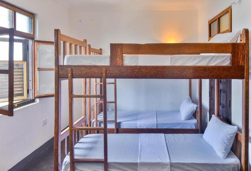 旅馆 Zlife Stone Town