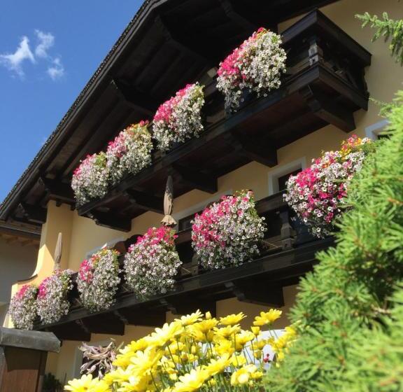 Bed and Breakfast Frühstückspension Maier