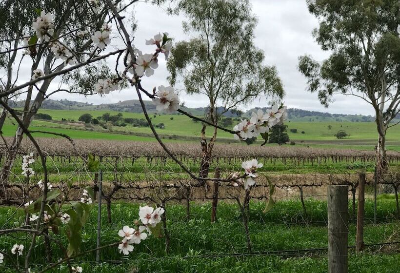 צימר Jasmine S Cottage