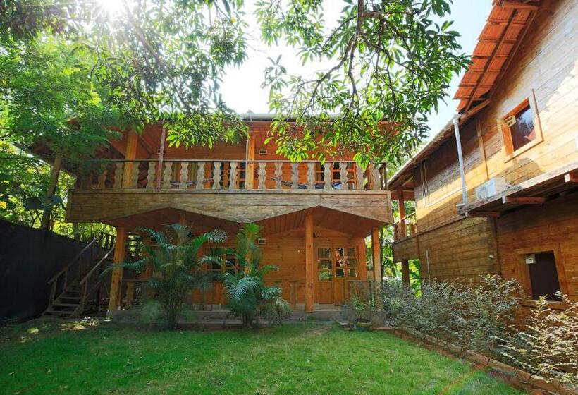 リゾートホテル Brushwood Villa  Cottages And Bar