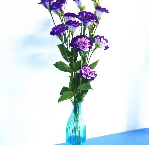 Downtown Center Youth Hostel