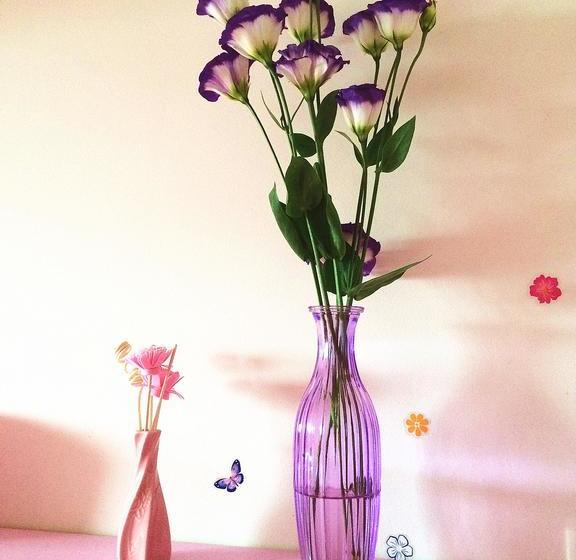 Downtown Center Youth Hostel