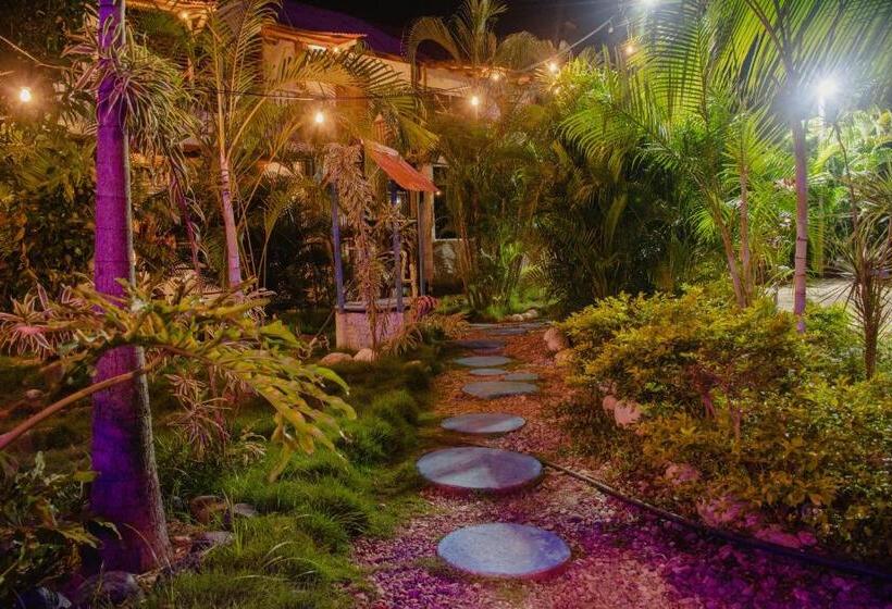 El Zoo Hostel, Bar & Pool