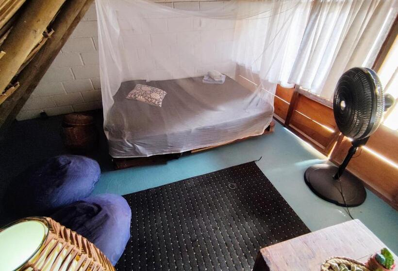 El Zoo Hostel, Bar & Pool