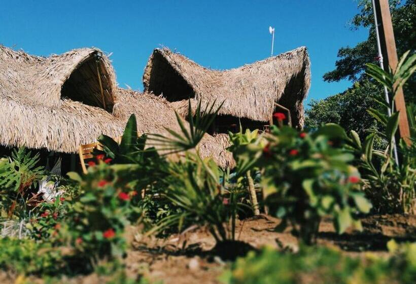 El Zoo Hostel, Bar & Pool