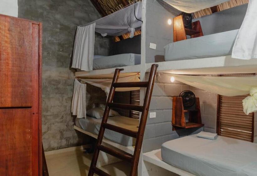 El Zoo Hostel, Bar & Pool