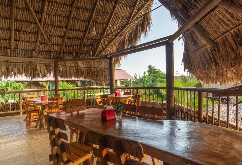 El Zoo Hostel, Bar & Pool