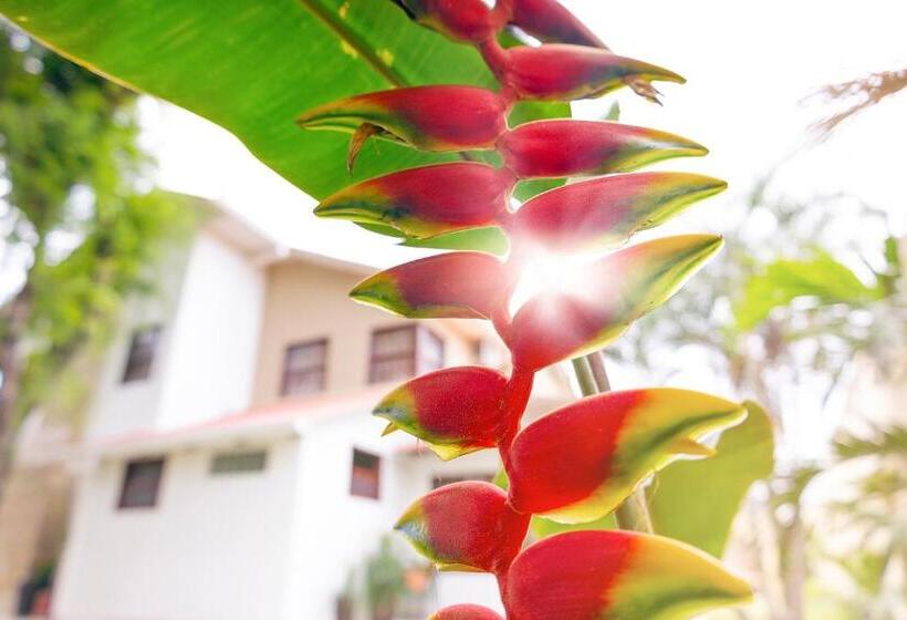 هتل By Armonía Santa Cruz