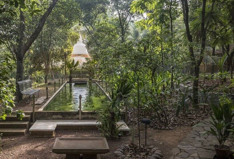 בית מלון כפרי Casa Heliconia