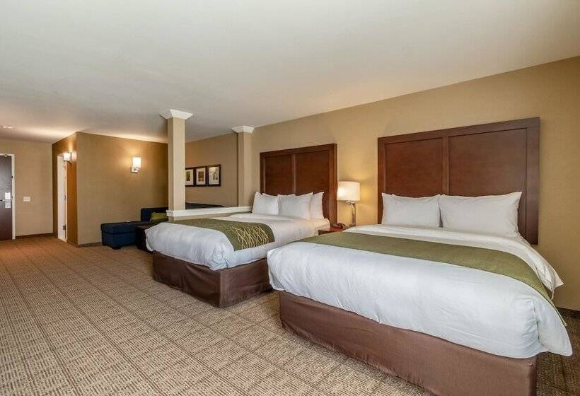 Отель Comfort Inn & Suites – Harrisburg Airport – Hershey South