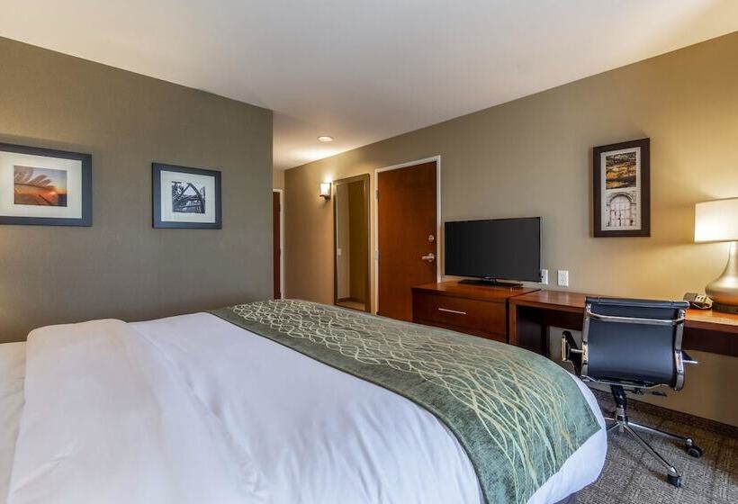 酒店 Comfort Inn & Suites – Harrisburg Airport – Hershey South