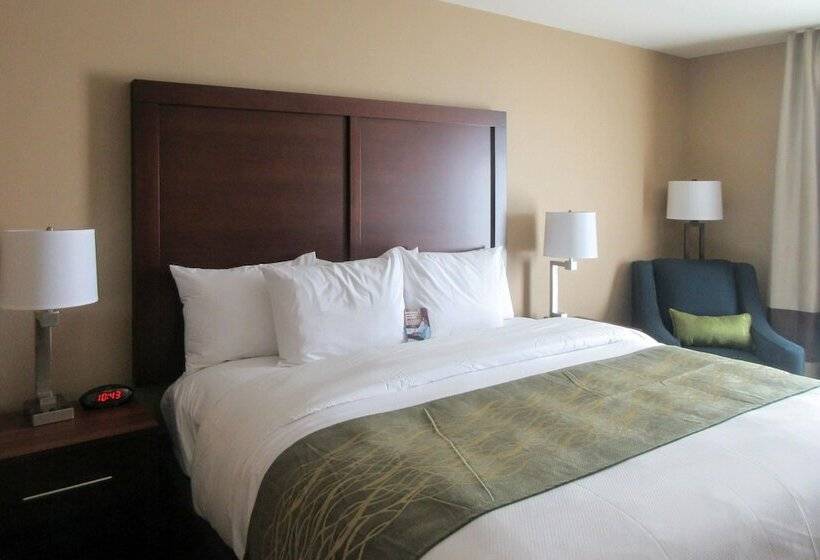 酒店 Comfort Inn & Suites – Harrisburg Airport – Hershey South