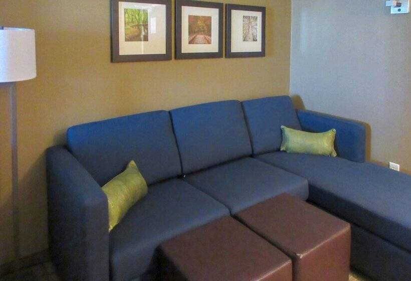 酒店 Comfort Inn & Suites – Harrisburg Airport – Hershey South