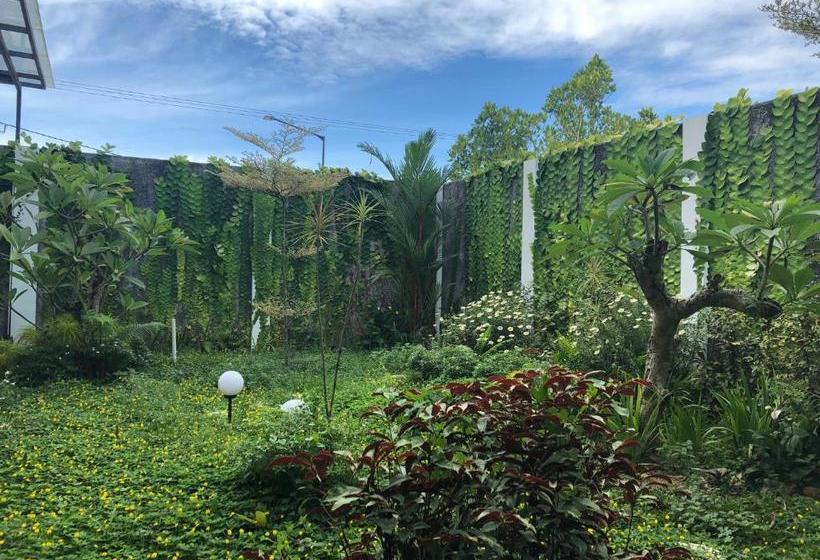 בית מלון כפרי Emerald