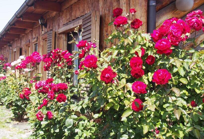 בית מלון כפרי último Paraíso