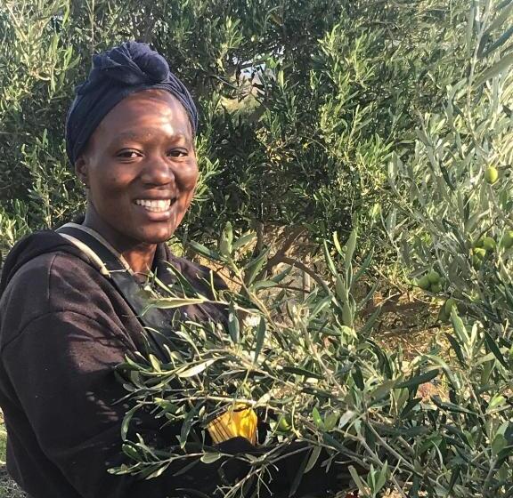 فندق Olive Hill Guest House