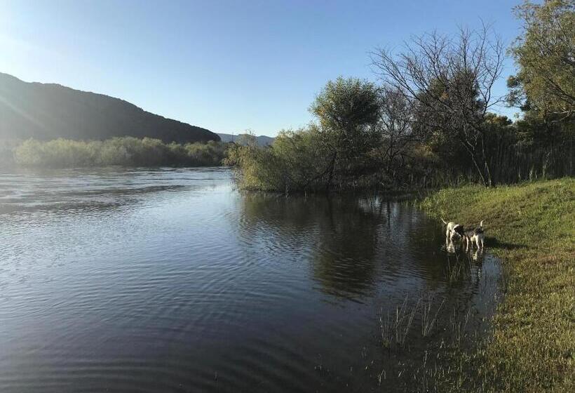 فندق Olive Hill Guest House