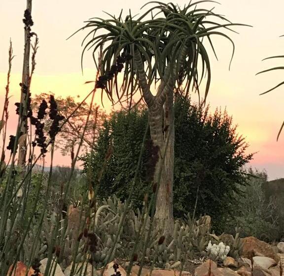 فندق Olive Hill Guest House