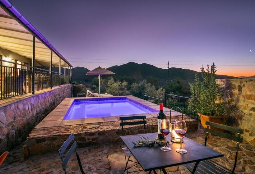 فندق Olive Hill Guest House