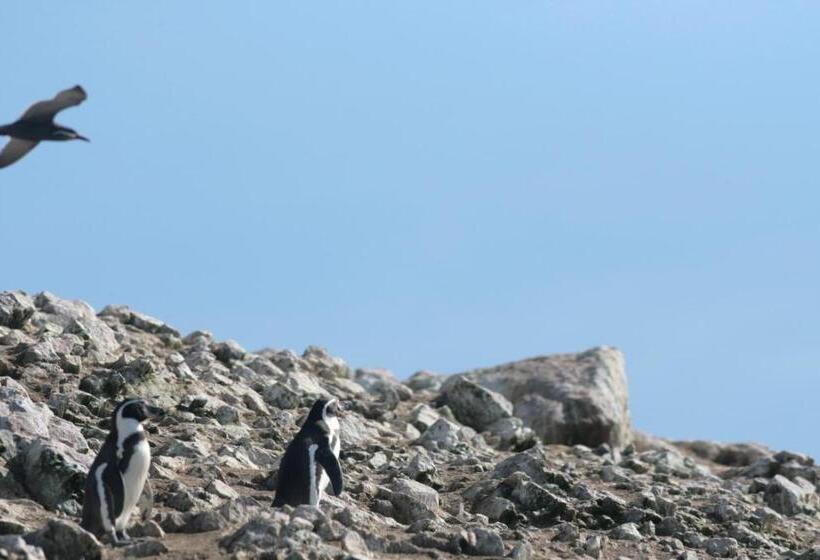 호텔 Riviera Inka Paracas