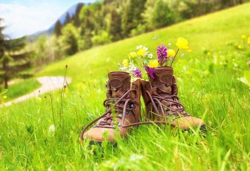 ホテル The Starnbergsee Hideaway