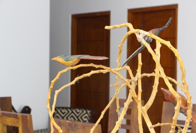 בית מלון כפרי Vogel Nest