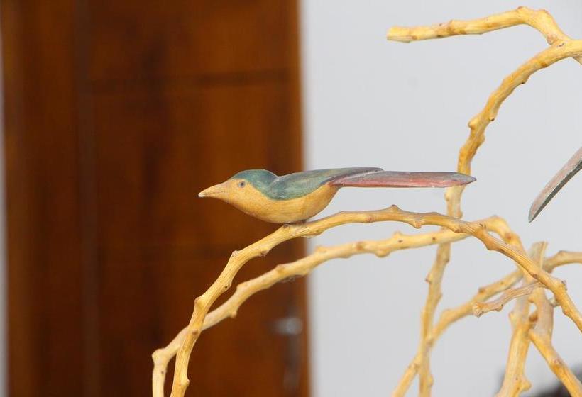 בית מלון כפרי Vogel Nest