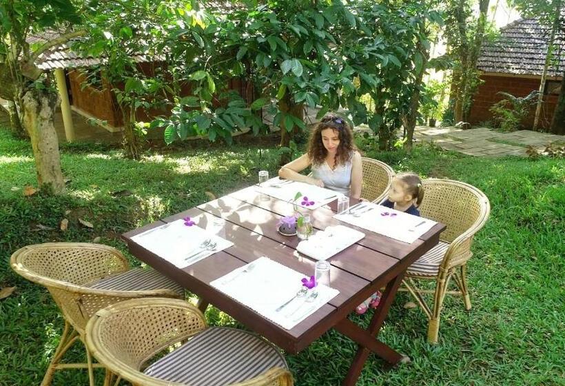 Raindrops Resorts Wayanad