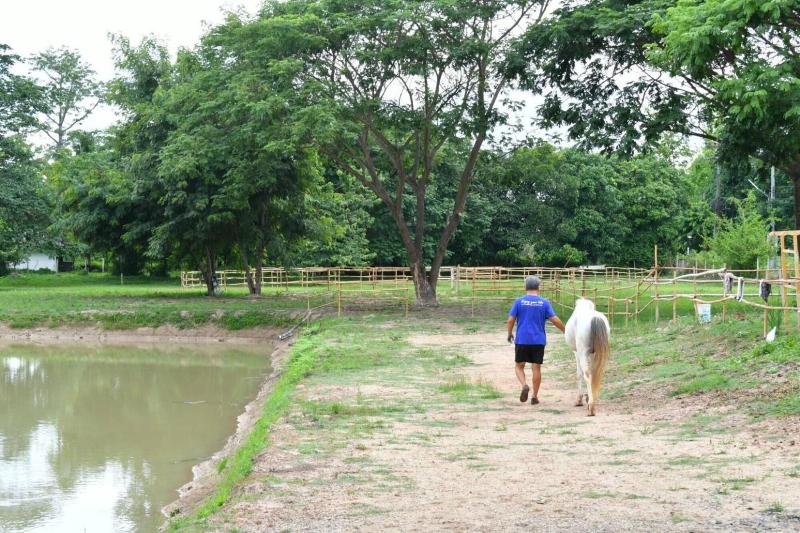 渡假胜地 Rungnara Pool Villa