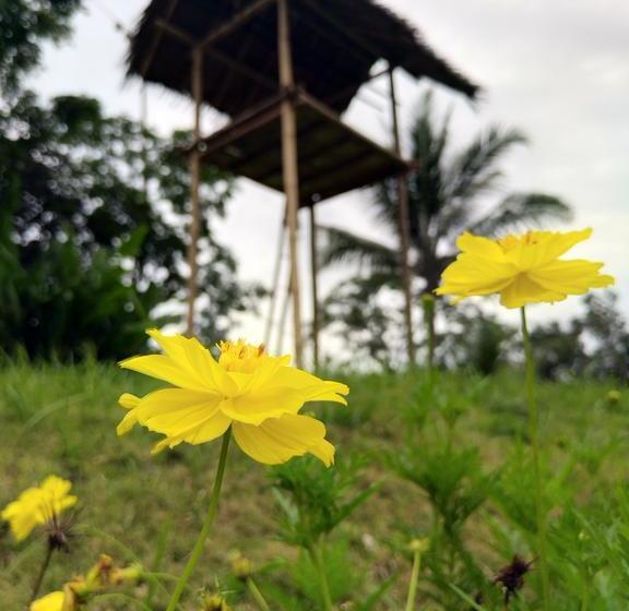 渡假胜地  Capital O 1065 Sahid Osing Kemiren