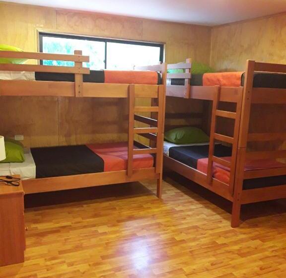 호스텔 La Casa Del Kori