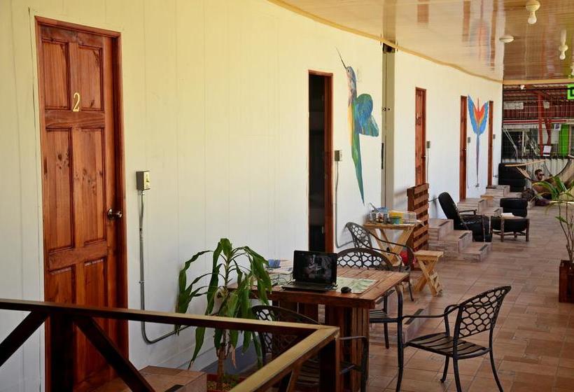 Arenal Container Hostel