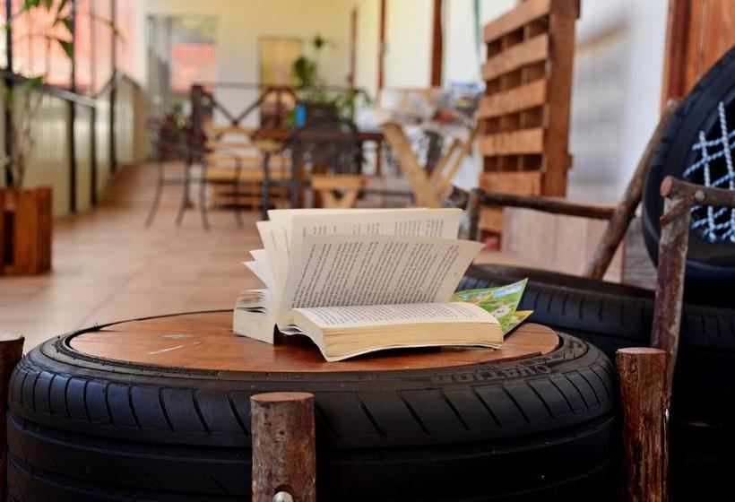 Arenal Container Hostel