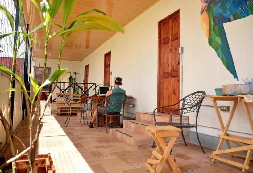 Arenal Container Hostel