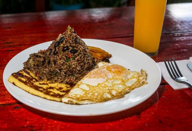 Arenal Container Hostel