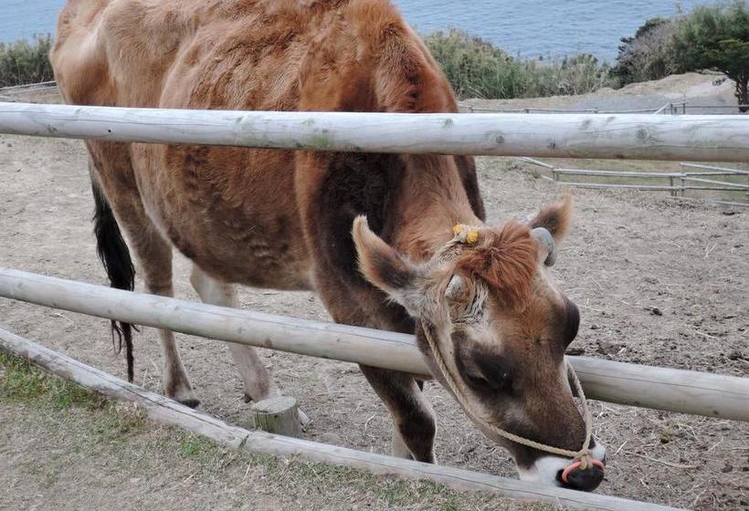 בית מלון כפרי Business  Rich <miyazaki>