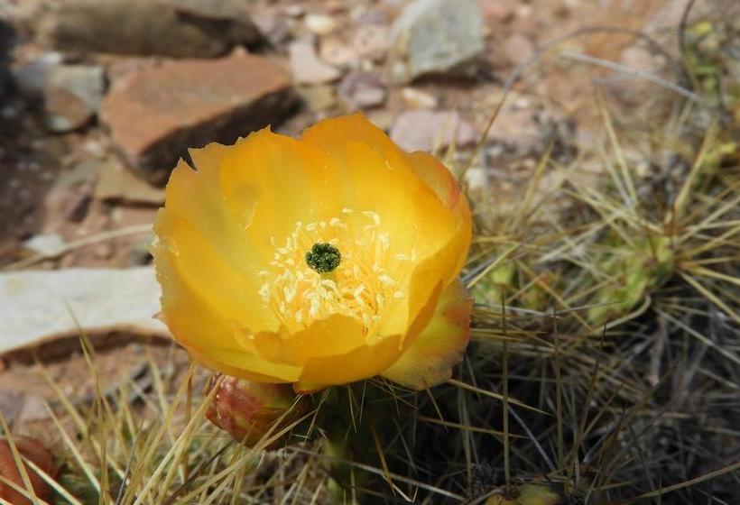 호텔 Casa Colorada All Inclusive Eco Lodge