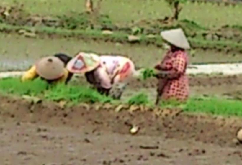 Cimajasquare Hotel & Restaurant