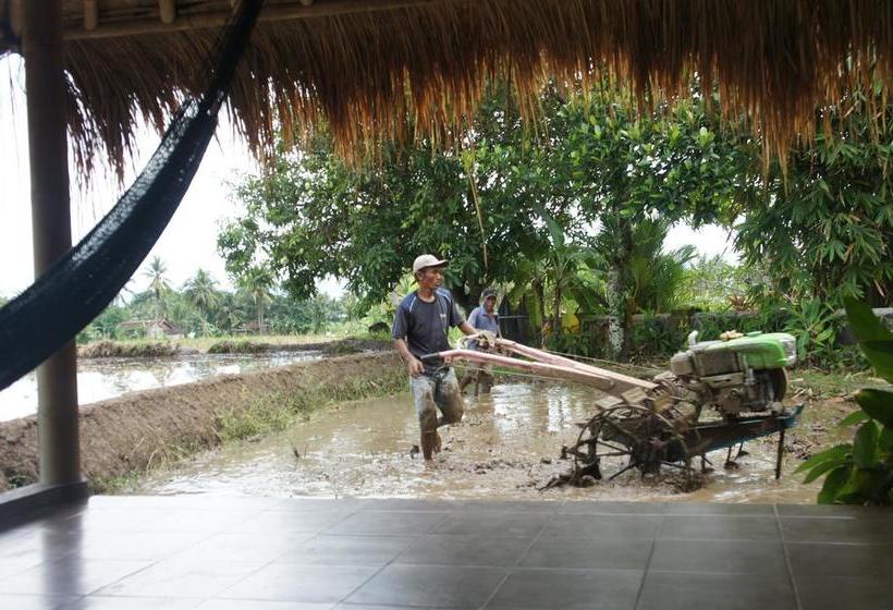 Cimajasquare Hotel & Restaurant