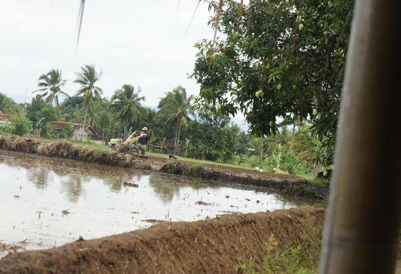 Cimajasquare Hotel & Restaurant