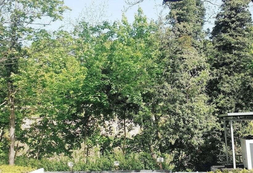 Akzent Hotel Villa Saxer