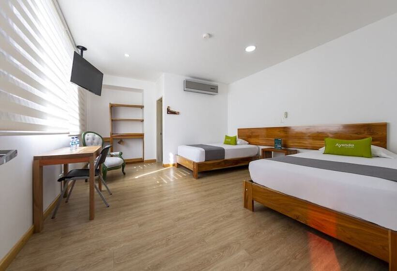 Отель Ayenda Marckia 1901