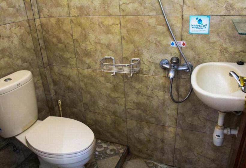 Отель Edelweis 2 Bajawa