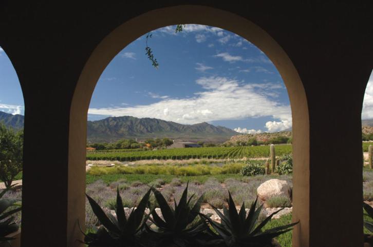 酒店 Estancia Colome