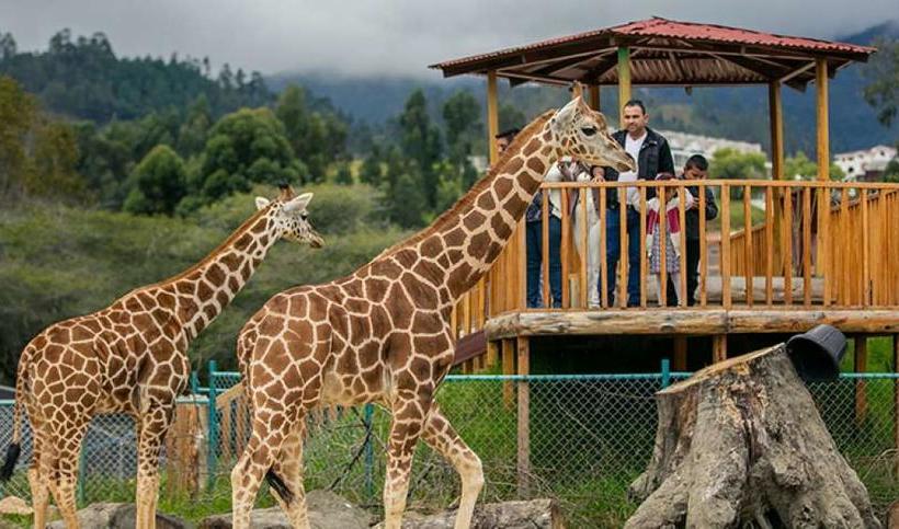 هتل Floys Internacional